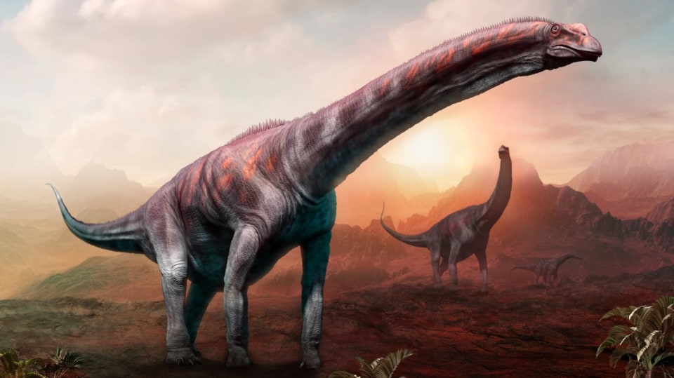 Argentinosaurus